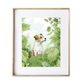 Load image into Gallery viewer, Bark & Botanica