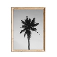 Load image into Gallery viewer, Palm Print