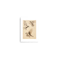 Load image into Gallery viewer, Feathered Flurry