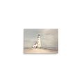Load image into Gallery viewer, Coastal Keeper