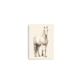 Load image into Gallery viewer, Vintage Horse Print baby room art