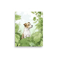 Load image into Gallery viewer, Bark & Botanica