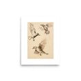 Load image into Gallery viewer, Feathered Flurry