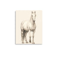 Load image into Gallery viewer, Vintage Horse Print baby room nursery art
