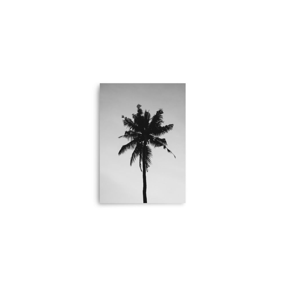 Palm Print